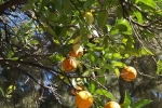 2013-09-18_San_Remo_-_004