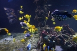 2013-09-20_Monaco_-_059