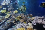 2013-09-20_Monaco_-_069