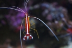 2013-09-20_Monaco_-_074