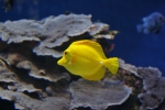 2013-09-20_Monaco_-_136