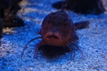 2013-09-20_Monaco_-_172