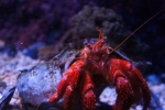 2013-09-20_Monaco_-_209