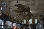 2013-09-20_Monaco_-_217