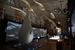 2013-09-20_Monaco_-_228