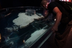 2013-09-20_Monaco_-_250