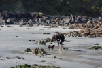 2014-09_Perros-Guirec_-_046