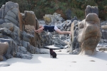 2014-09_Perros-Guirec_-_079