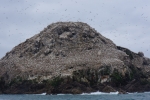 2014-09_Perros-Guirec_-_113