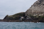 2014-09_Perros-Guirec_-_130