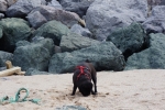 Biarritz_003.jpg