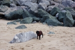 Biarritz_005.jpg