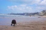 Biarritz_007.jpg