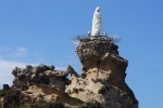 Biarritz_028.jpg