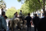 Nimes-099