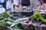 2015-05__Rabat122.jpg