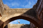 2015-05__Rabat71