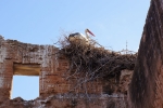 2015-05__Rabat75