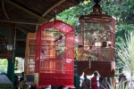 2016-01-Java-Jogjakarta-042
