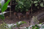 2016-01-Java-Jogjakarta-120