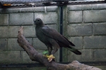 2016-01-Java-Jogjakarta-121