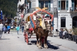 2017-04_Chamonix_056