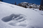 2017-04_Chamonix_108