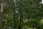 2018-05-New-York-056