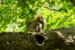 2018-05-New-York-120