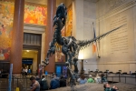 2018-05-New-York-254