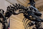 2018-05-New-York-263