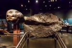 2018-05-New-York-268