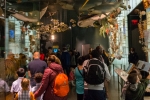 2018-05-New-York-272
