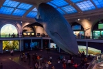 2018-05-New-York-273