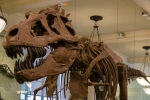 2018-05-New-York-278