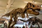 2018-05-New-York-283
