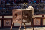 2018-08-Puy_Du_Fou-036