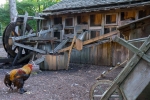 2018-08-Puy_Du_Fou-051