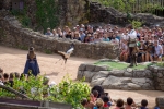 2018-08-Puy_Du_Fou-066