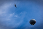 2018-08-Puy_Du_Fou-071