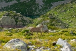 2018-08-Lac-Blanc-014