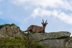 2018-08-Lac-Blanc-016