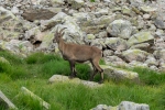 2018-08-Lac-Blanc-020