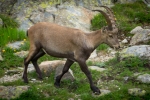 2018-08-Lac-Blanc-025