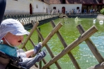 2019-06-Chenonceau-Beauval-009