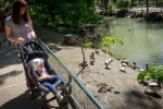 2019-06-Chenonceau-Beauval-052
