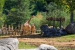 2019-06-Chenonceau-Beauval-061