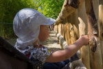2019-06-Chenonceau-Beauval-067