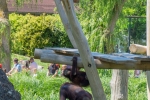 2019-06-Chenonceau-Beauval-092