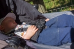 2019-06-Chenonceau-Beauval-100